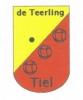 Jeu de Boulesver. De Teerling